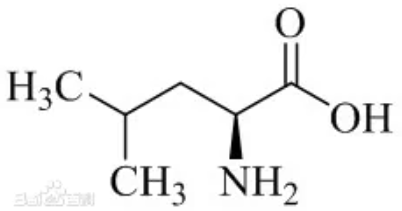 L-亮氨酸